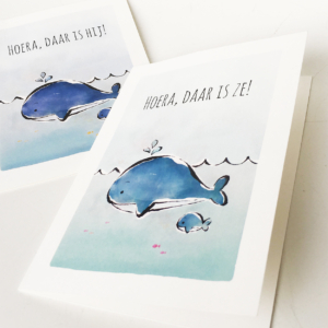 kaartenset geboorte walvis - set van 6 kaarten voor de geboorte van een jongetje of meisje met illustratie van walvis