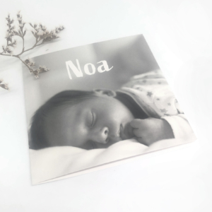 geboortekaartje Noa met foto van Kikker & Prins