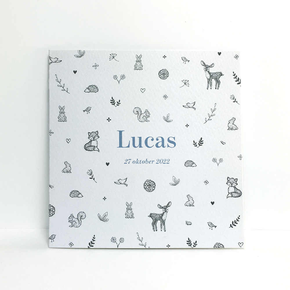 Geboortekaartje Lucas met diertjes - Kikker & Prins