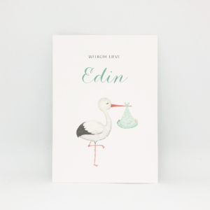 Geboortekaartje Edin - ooievaar met illustratie van een ooievaar van Kikker en Prins