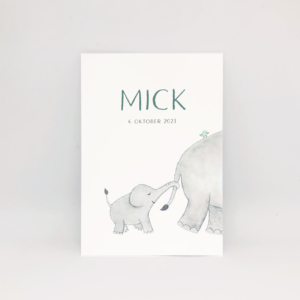 geboortekaartje Mick olifantjes van Kikker en Prins